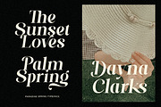 Paradise Spring - Soft Elegant Serif, a Serif Font by Shakira Studio (Thumbnail 5 of 10)