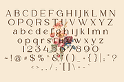 Mergian - Modern Serif, a Serif Font by tebaltipislab (Thumbnail 16 of 21)