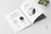 Design & Brand Guidelines, a Brochure Template by Imagination Area (Thumbnail 8 of 21)