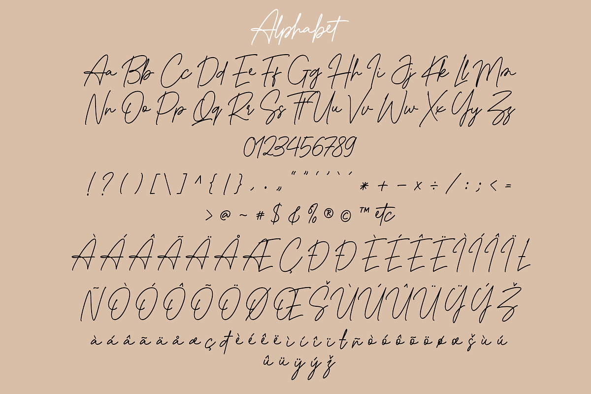 Jestilow - Monoline Handwritten Font, a Script Font by Myn Type (Photo 12 of 13)