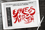 Expressive Calligraphy Brushpack, a Brush Add-On by Letter Elfa Studio (Thumbnail 2 of 9)