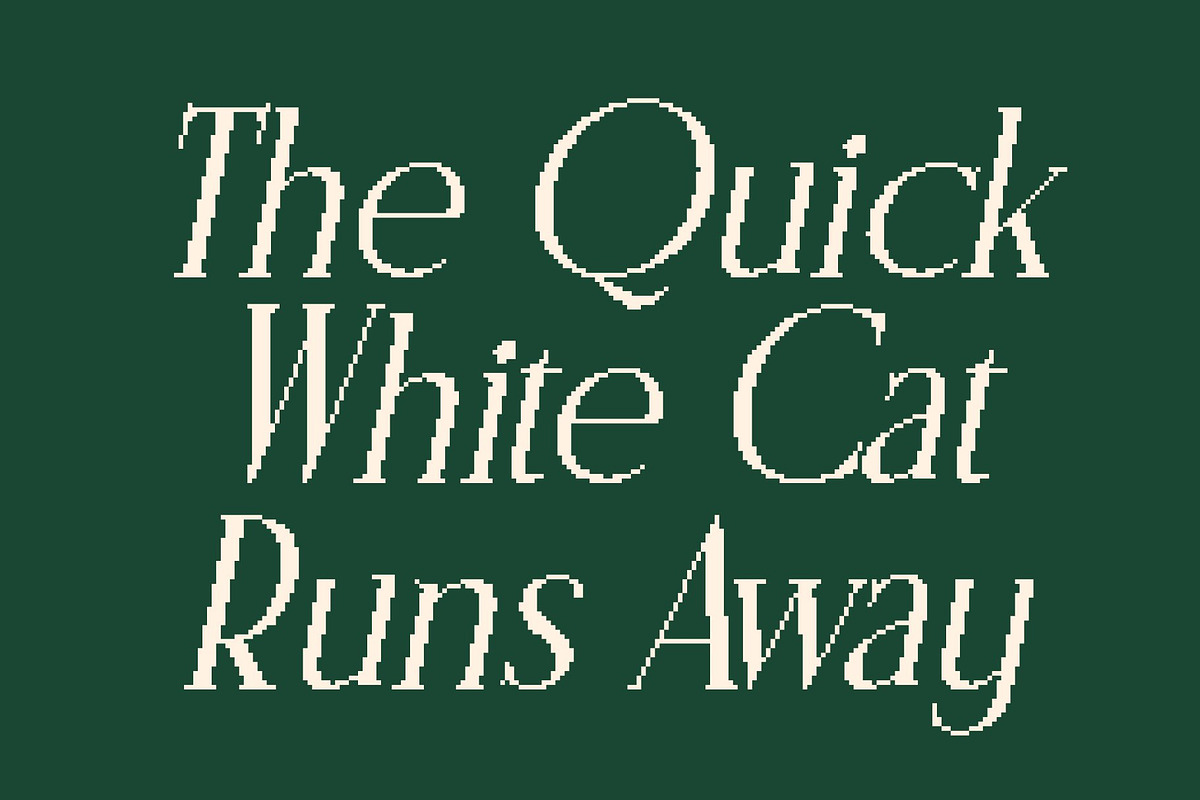 CS Rottage Pixel, a Serif Font by Craft Supply Co. (Photo 2 of 8)