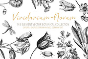 Vintage Engraved Botanical Elements, an Illustration by Jennadesigns (Thumbnail 1 of 12)