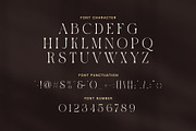 History Elegant Ligature Serif Font, a Serif Font by Elegant Font (Thumbnail 7 of 8)