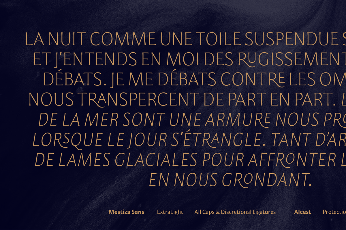Mestiza Sans, a Sans Serif Font by Lechuga Type (Photo 5 of 19)