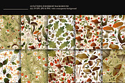 Autumn Forest. Big Graphic Set., a Decorative Illustration by Red Ink (Thumbnail 8 of 10)