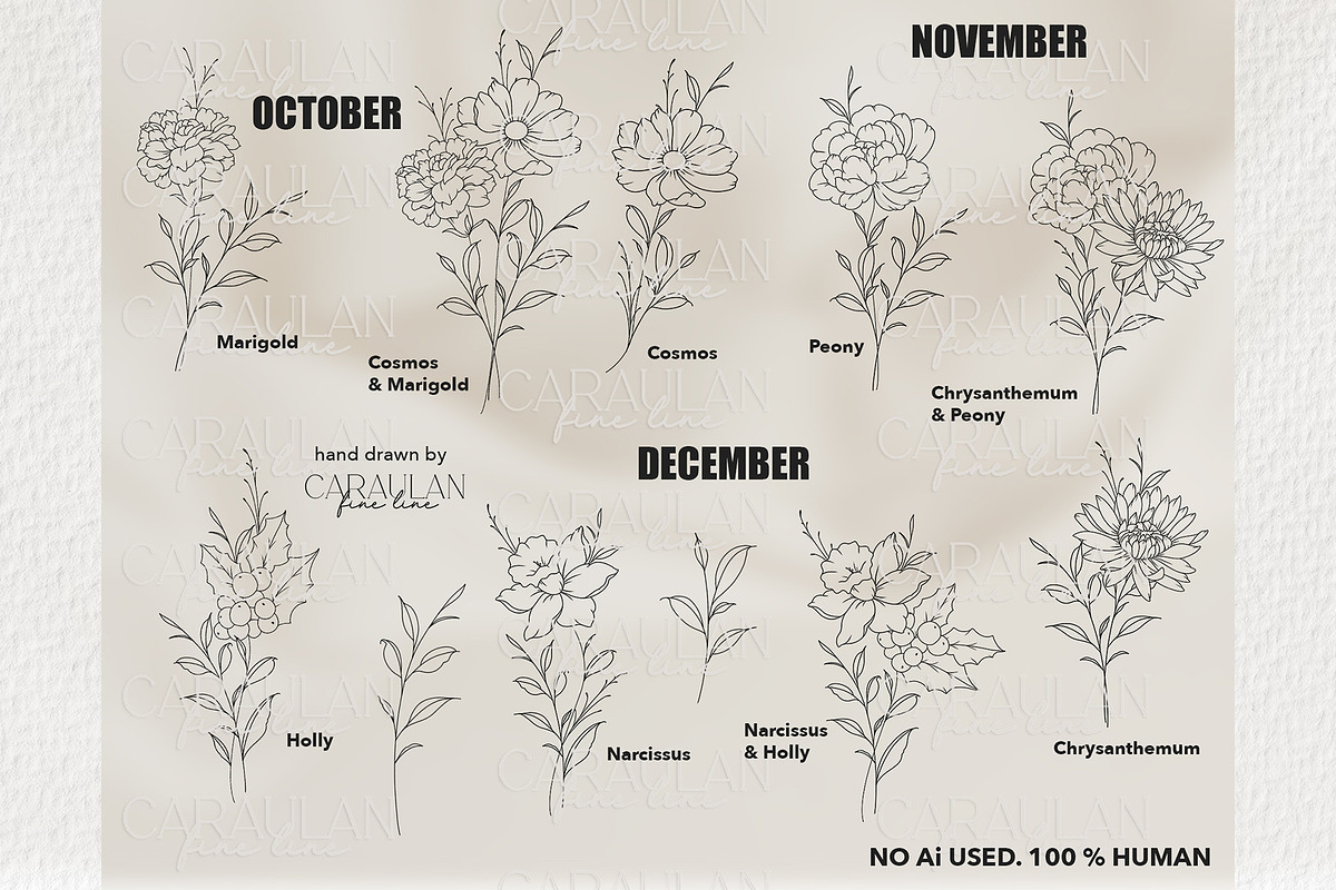 Birth Flowers Outline Stamps, a Brush Add-On by CaraulanStore (Photo 7 of 9)