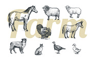 Farm animals and products., an Object Graphic by MarinaVorontsova (Thumbnail 3 of 7)