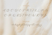 Galteniya | Beautiful Script, a Script Font by Denustudios (Thumbnail 12 of 15)