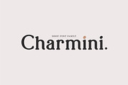 Charmini. Serif font family., a Serif Font by Luxfont (Thumbnail 1 of 12)