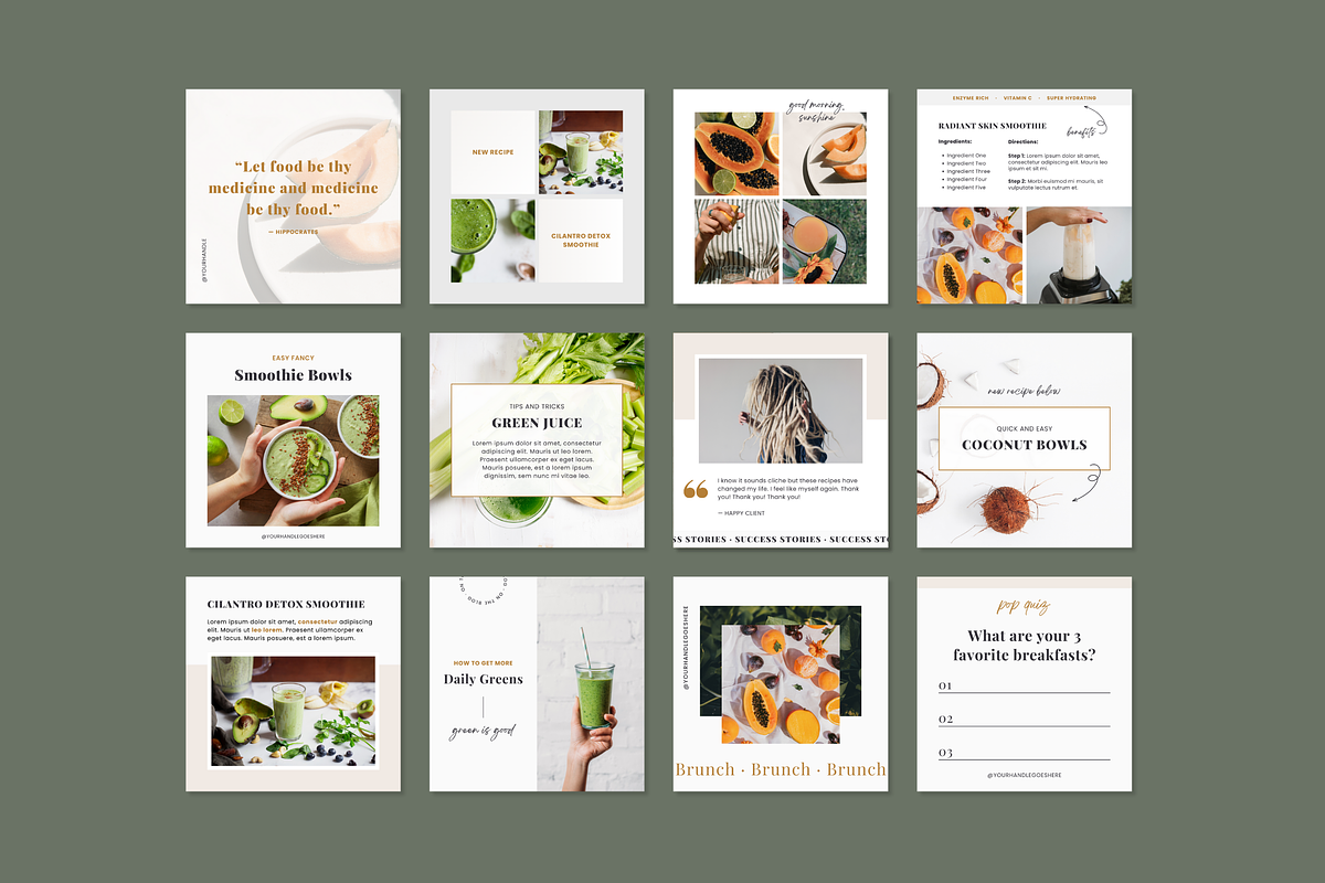4-in-1 Nutrition Bundle for Canva, a Templates & Theme by Erin Cassidy (Photo 14 of 29)