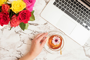 Feminine workplace concept containing coffee, life, and view