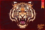 FIGHTER II - Vector illustration, an Animal Illustration by Artistic & Unique (Thumbnail 2 of 12)