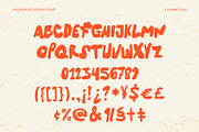 WILDENCE Organic Display, a Handwritten Font by Cruizy & Co (Thumbnail 5 of 15)