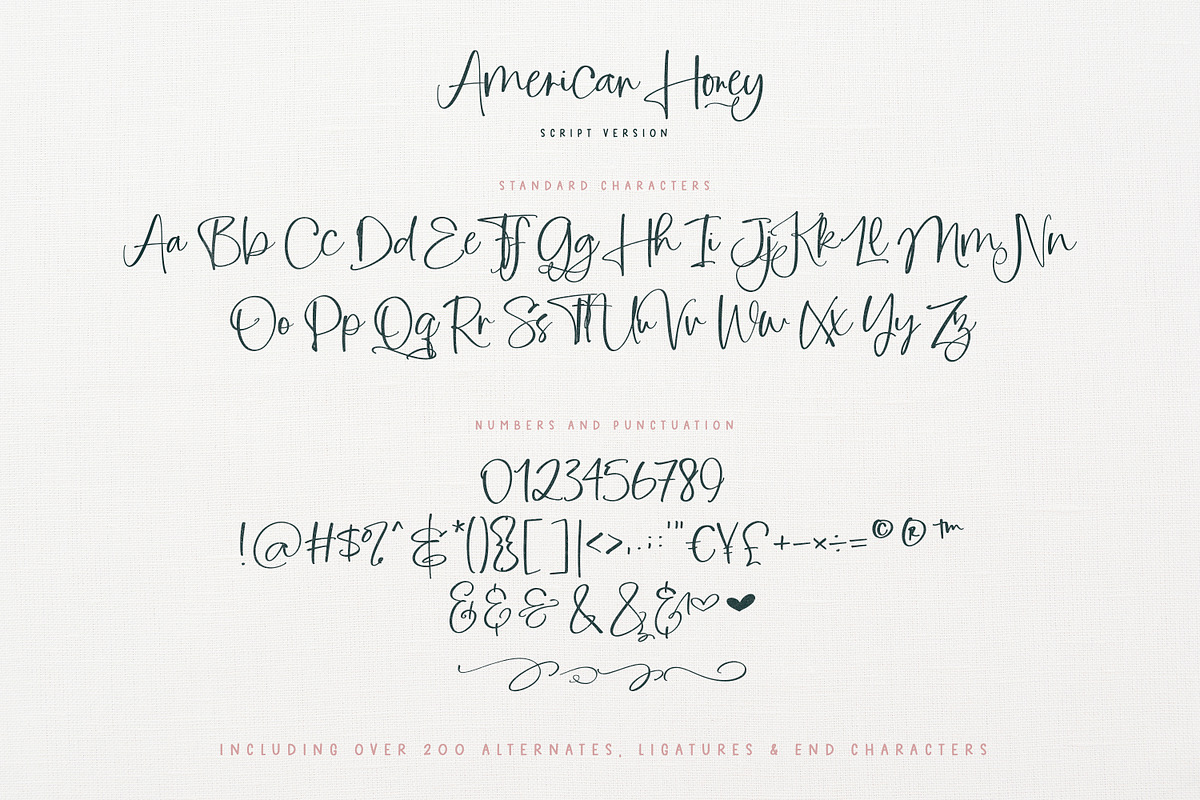 American Honey | Script & Sans, a Font by Callie Rian & Co. (Photo 22 of 27)