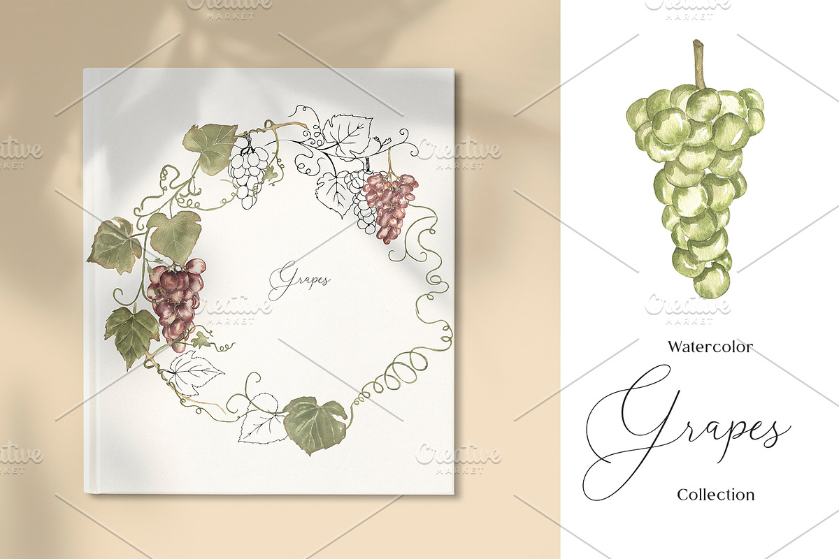 Watercolor Grapes Collection, a Decorative Illustration by MayaNavits (Photo 7 of 9)