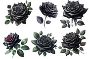 Watercolor black rose Clipart, an Illustration by Designworld (Thumbnail 2 of 5)