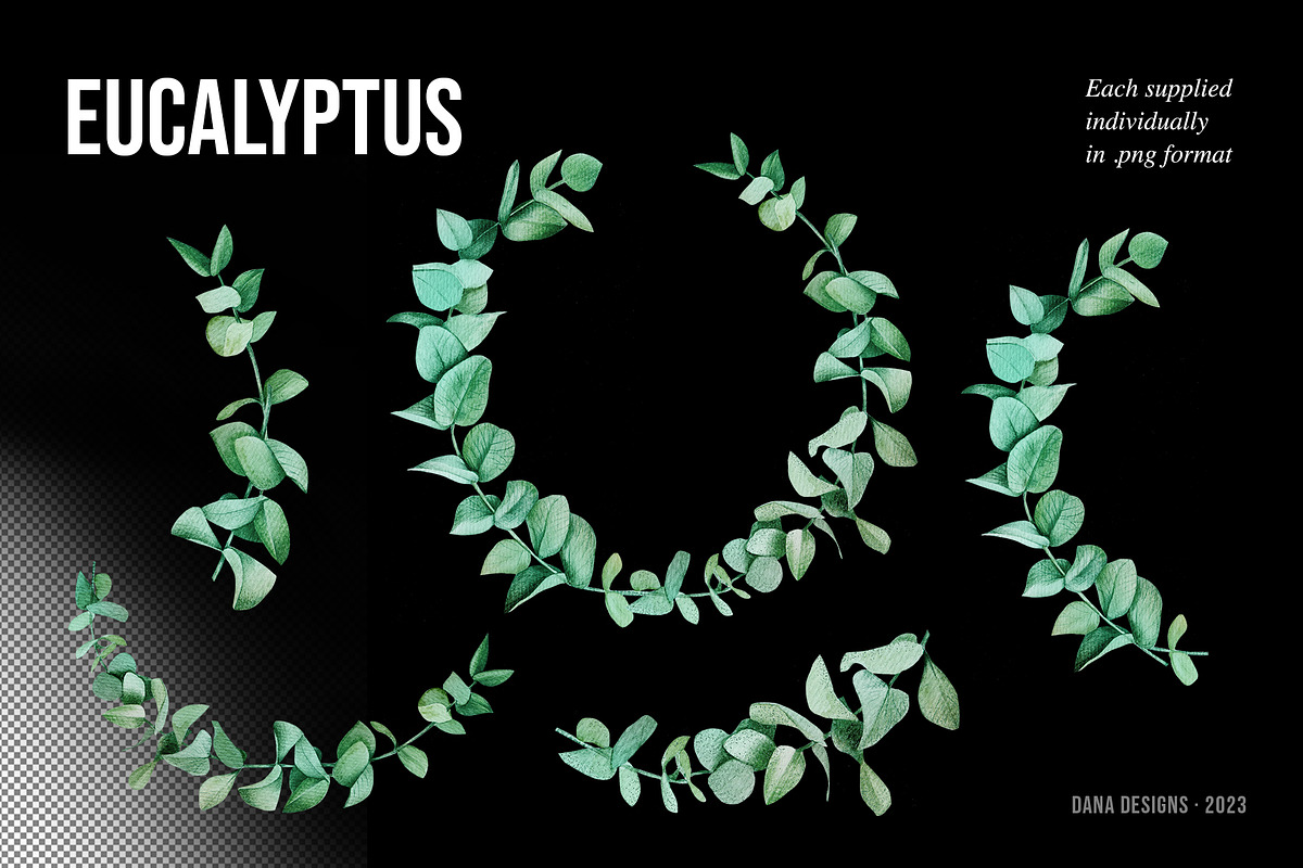 AUSTRALIA FAIR Elements, a Decorative Illustration by Dana Designs (Photo 4 of 14)