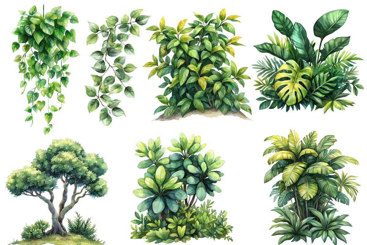 Safari Watercolor Clipart, an Illustration by Designworld (Photo 4 of 6)