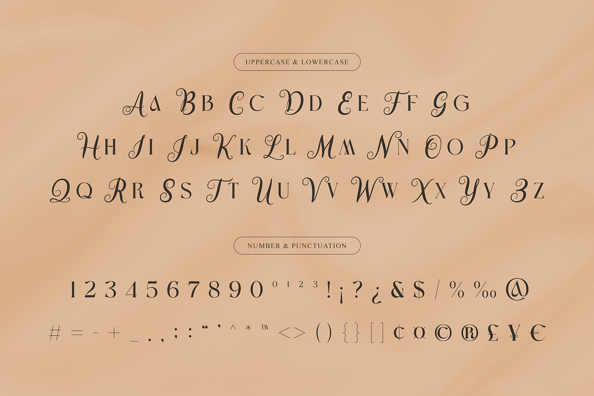 Opaline – Display Serif Script, a Font by Almeera Std (Photo 6 of 10)