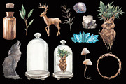 Magic Mandrake, an Illustration by Eisfrei (Thumbnail 7 of 8)
