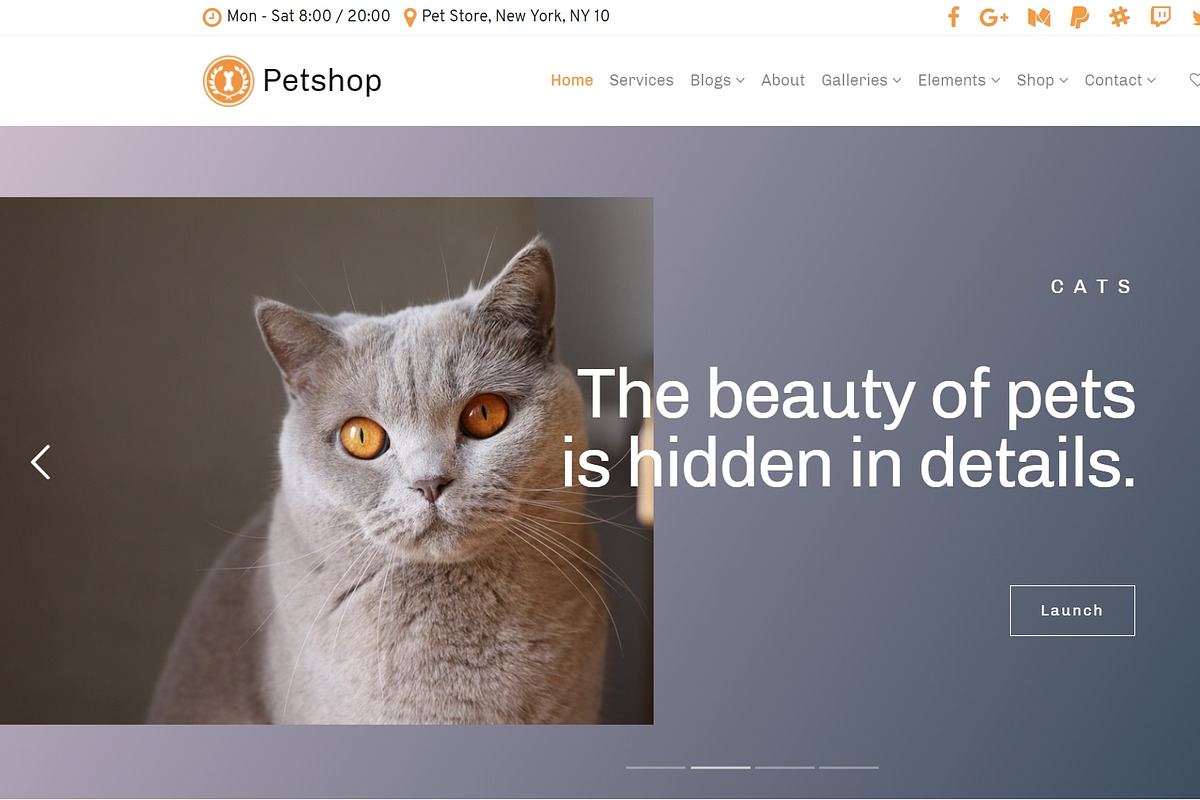 Petshop & Pet Care WordPress Theme, a WordPress Template by Visualmodo (Photo 22 of 30)