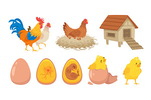 Chick, chicken, henhouse, rooster