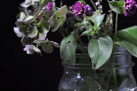 Flowers in a vase stock photo containing flowers and garden