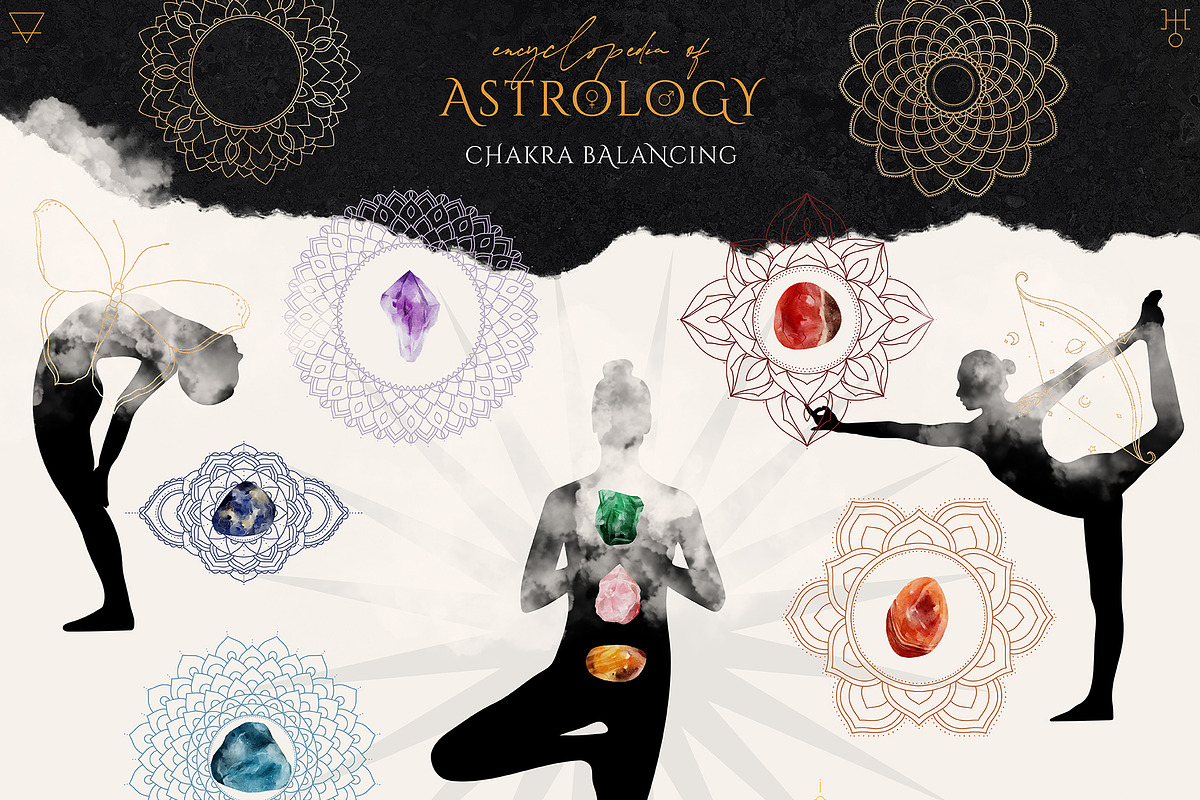 Encyclopedia of Astrology, an Animal Illustration by Julia Dreams (Photo 9 of 14)
