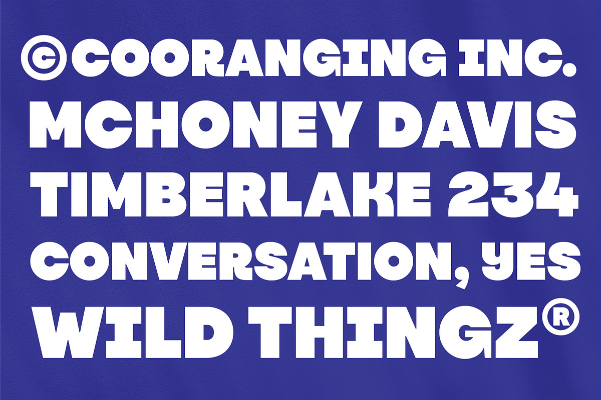 YNF Romero | Display sans serif, a Sans Serif Font by YNF (Photo 15 of 21)