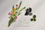 Watercolor flower -Wild flower, an Illustration by Beigetime (Thumbnail 6 of 9)