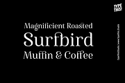 Famosa Core Edition, a Serif Font by TypeThis!Studio (Thumbnail 3 of 11)