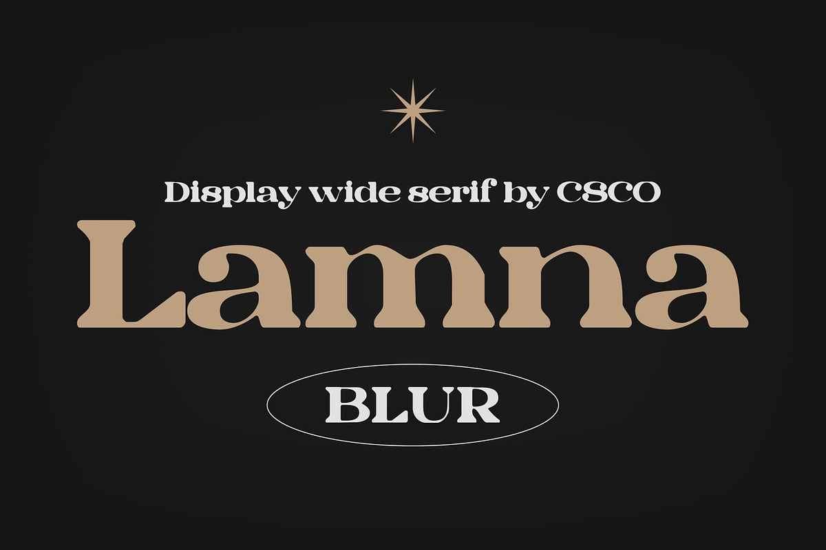 Lamna Blur, a Serif Font by Craft Supply Co. (Photo 1 of 8)