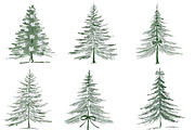 Christmas tree clipart, an Illustration by Designworld (Thumbnail 3 of 4)