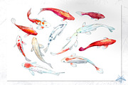 Lily Pond | Watercolor Koi Fish set, a Pattern Graphic by Tanya Vollar (Thumbnail 8 of 10)