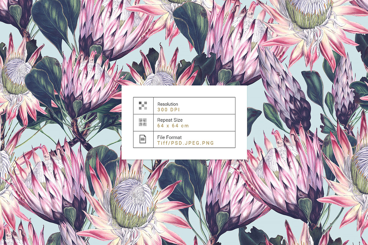 Exotic Protea Prints & Motifs, a Pattern Graphic by Pink Linen (Photo 3 of 10)