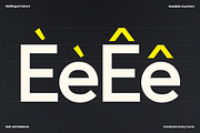 GC Codex – A Neo-Sans with Clarity, a Sans Serif Font by Glyphonic (Thumbnail 11 of 15)
