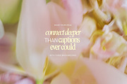 Soft Floral Spring Blur Backgrounds, a Background Graphic by eclosque (Thumbnail 38 of 48)