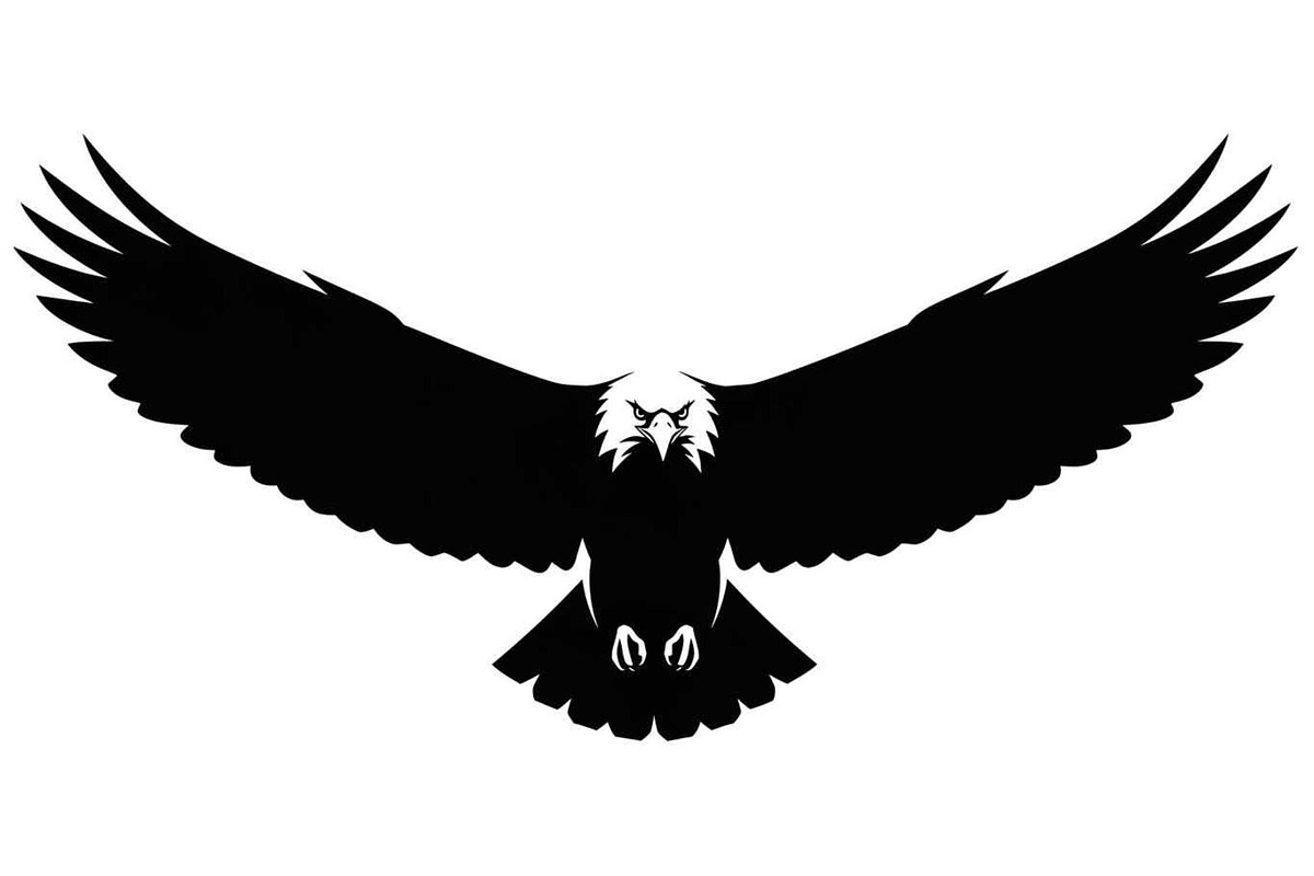 50 Flying Eagle Silhouette Vector Bu, an Illustration by Designs_River (Photo 14 of 51)