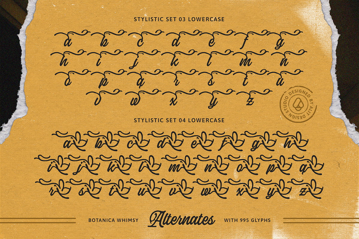Botanica Whimsy Typeface, a Script Font by alit design (Photo 12 of 20)