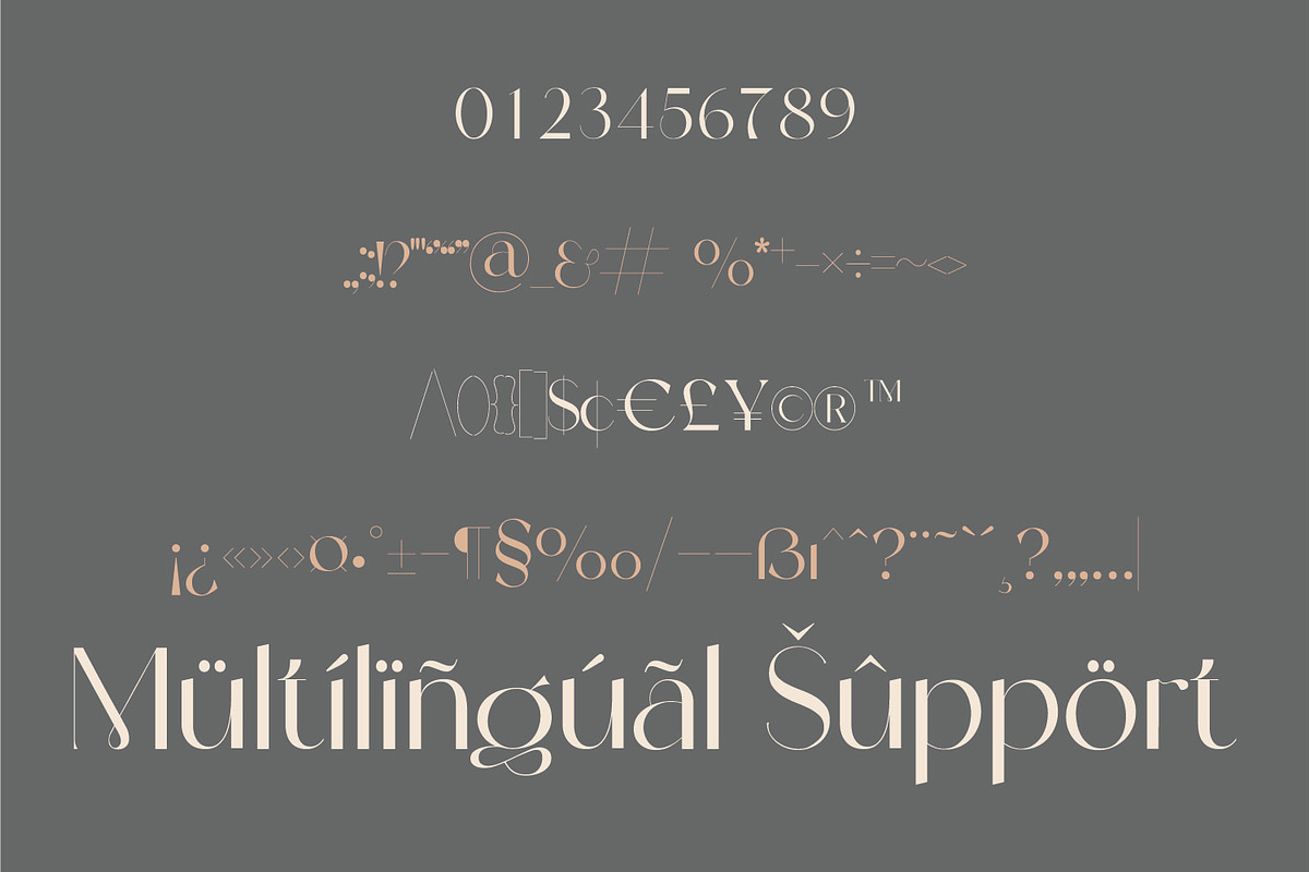 Valentiamo Sans| Stunning Sans Serif, a Sans Serif Font by MchCrafter (Photo 15 of 15)