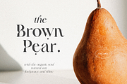 Frunchy Sage - Modern Serif Family, a Serif Font by Sans & Sons (Thumbnail 5 of 11)