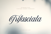 Trifasciata, a Script Font by ilhamtaro (Thumbnail 1 of 11)