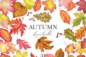 Autumn leaves watercolor clipart