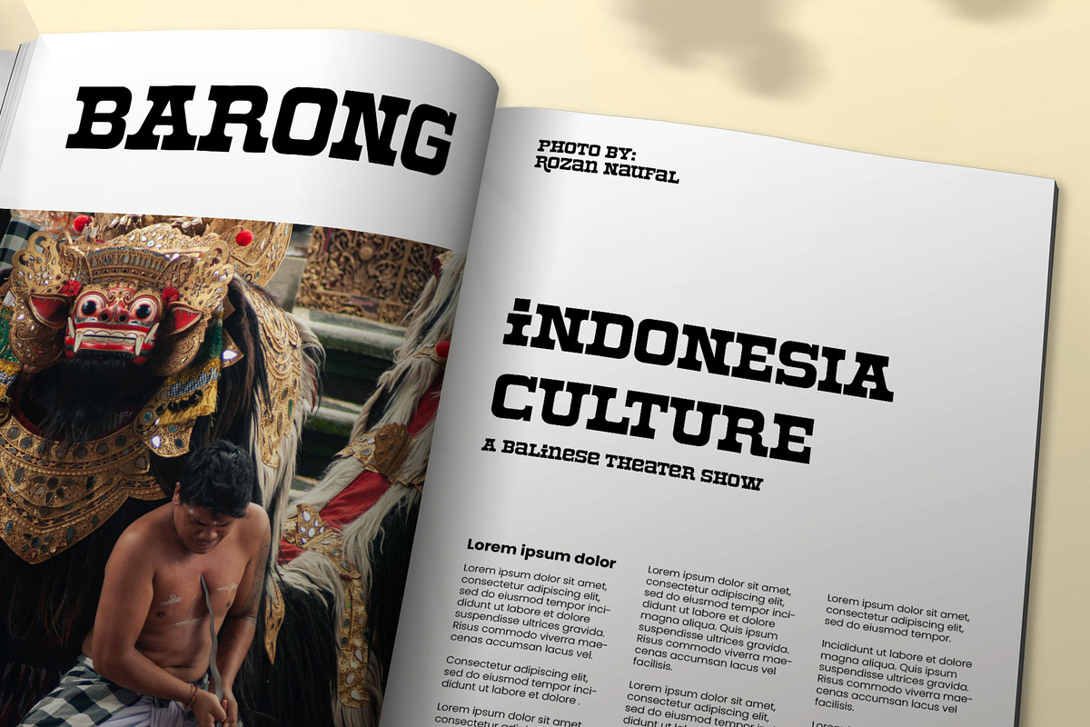 Roger Display Retro Western Font, a Serif Font by RantautypeStudio (Photo 4 of 15)