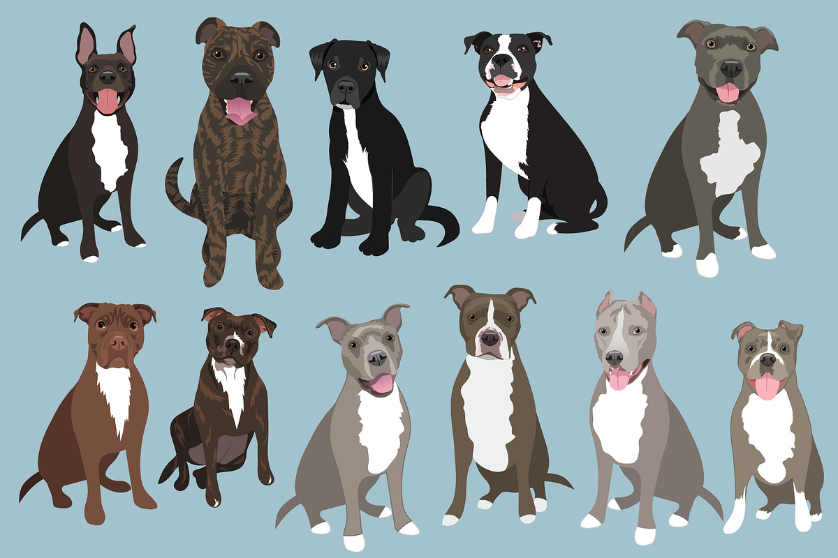 Pitbull Dogs Editable Vector Art, an Illustration by Putnam Road Art (Photo 3 of 3)