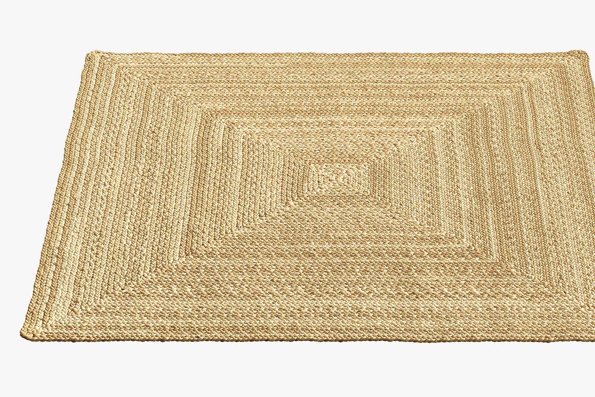 Dina Coastal Jute Rug Square, a Furniture 3D Model by 3dmitruk (Photo 4 of 15)