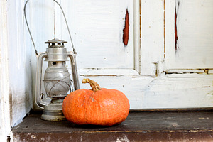 Halloween pumpkin still life, a Holiday Photo by hitdelight