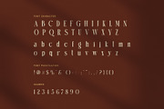 Camila Elegant Ligature Serif Font, a Serif Font by Perfectype (Thumbnail 7 of 8)
