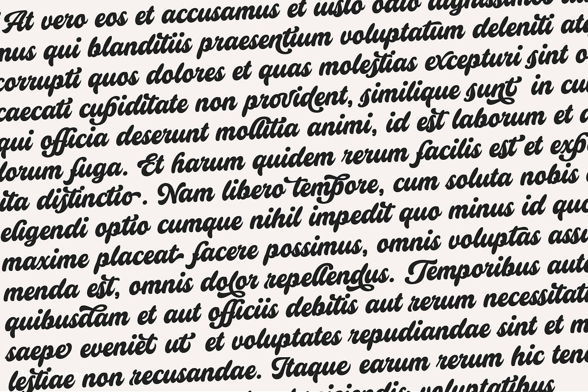 Relastic Script, a Script Font by joelmaker (Photo 17 of 18)